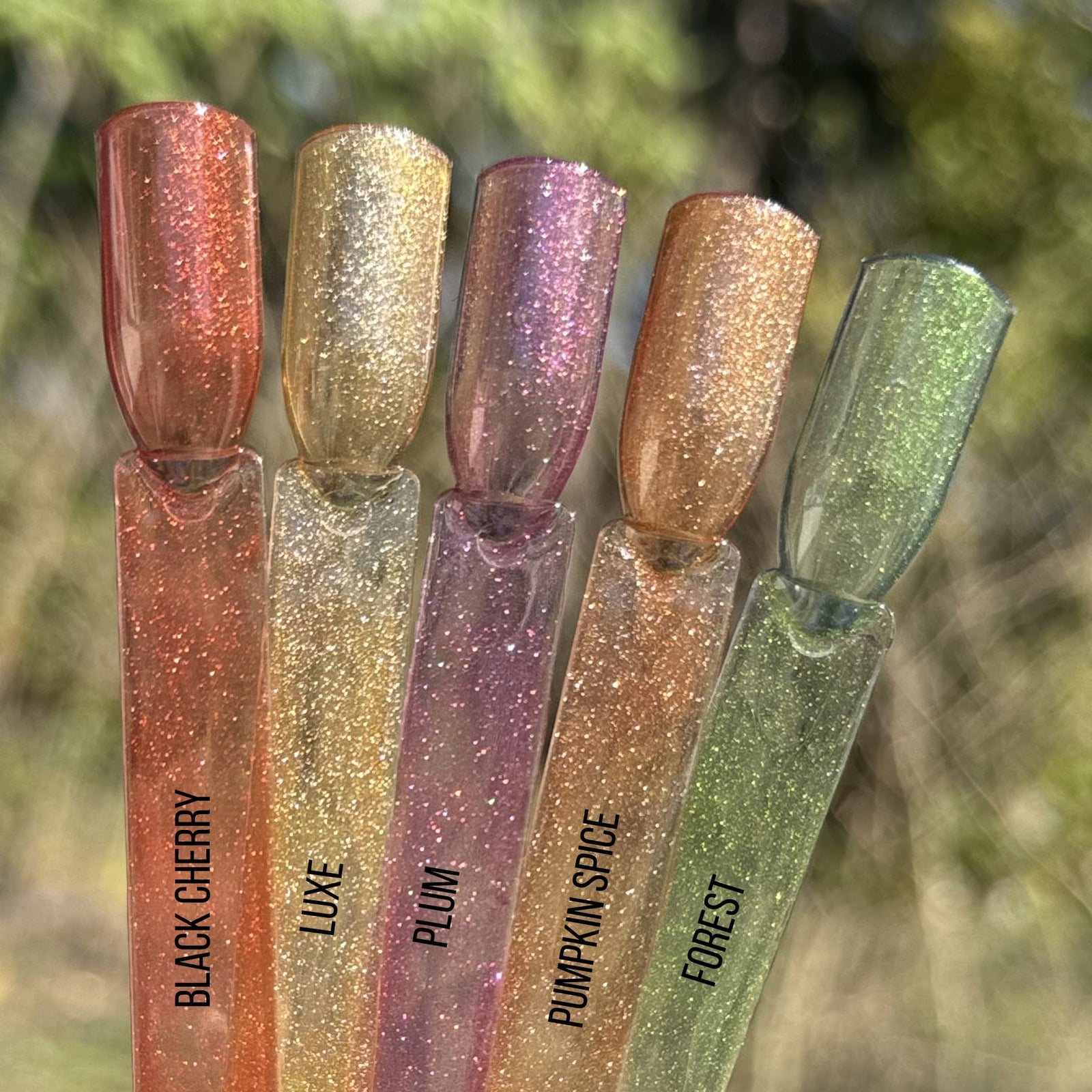 Jelly Cat Eye Gel Polish Collection- Hema Free - Autumn Glow EditionšPlus FREE Cat Eye Magnet